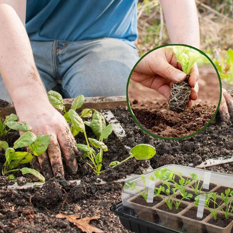 8 Pack Seed Starter Kit Seed Trays
