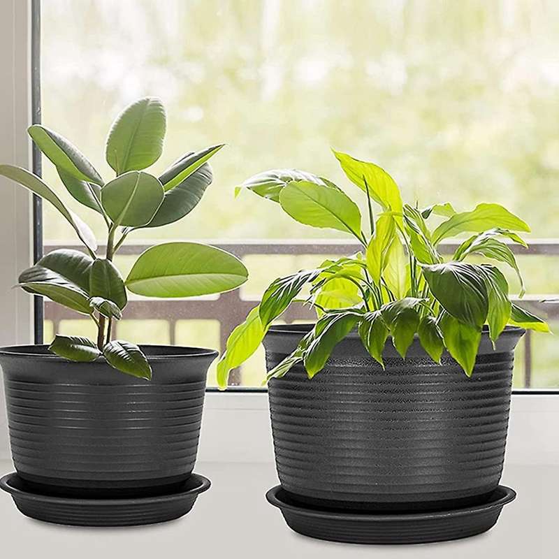 Plastic Flower Pots Pack Of 6 2 Sizes 15 Cm 18 Cm White Flower White