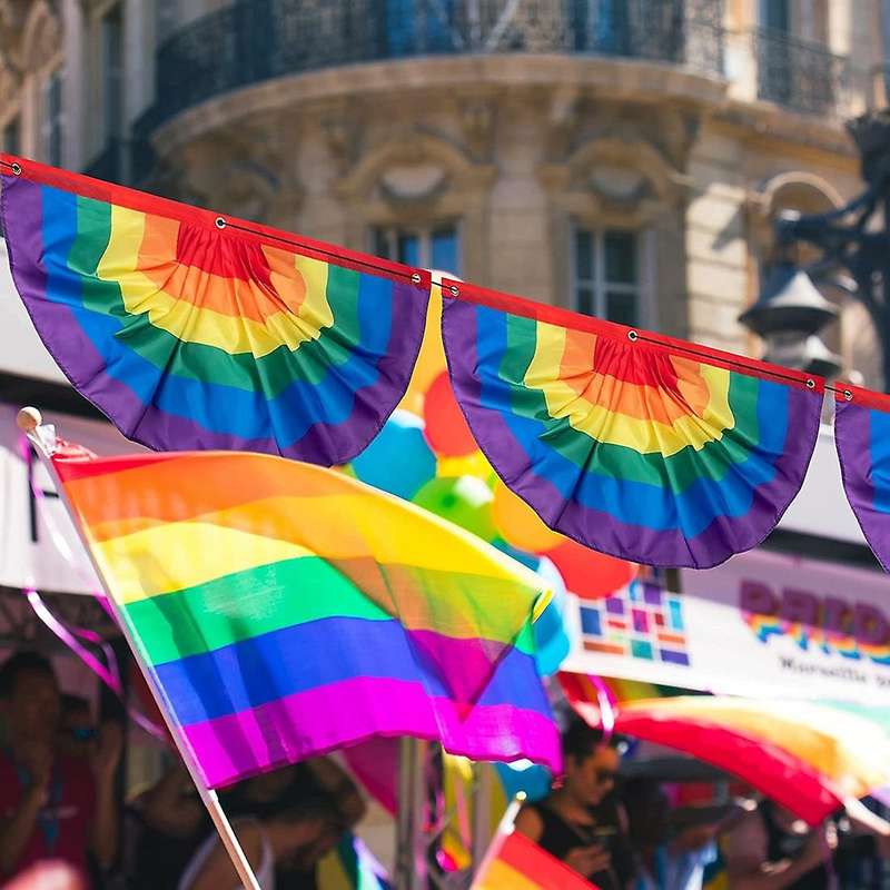 6piece Rainbow Pride Bunting,rainbow Pride Pleated Fan Flag Banner