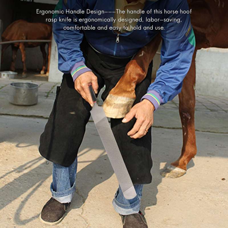 Horse Hoof Rasp Knife 350mm Double Sided Farrier Tool with Handle