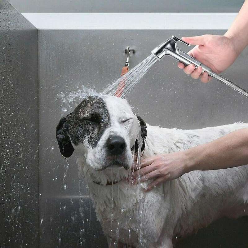 Hand Held Stainless Steel Sprayer Shower Faucet for Bathroom
