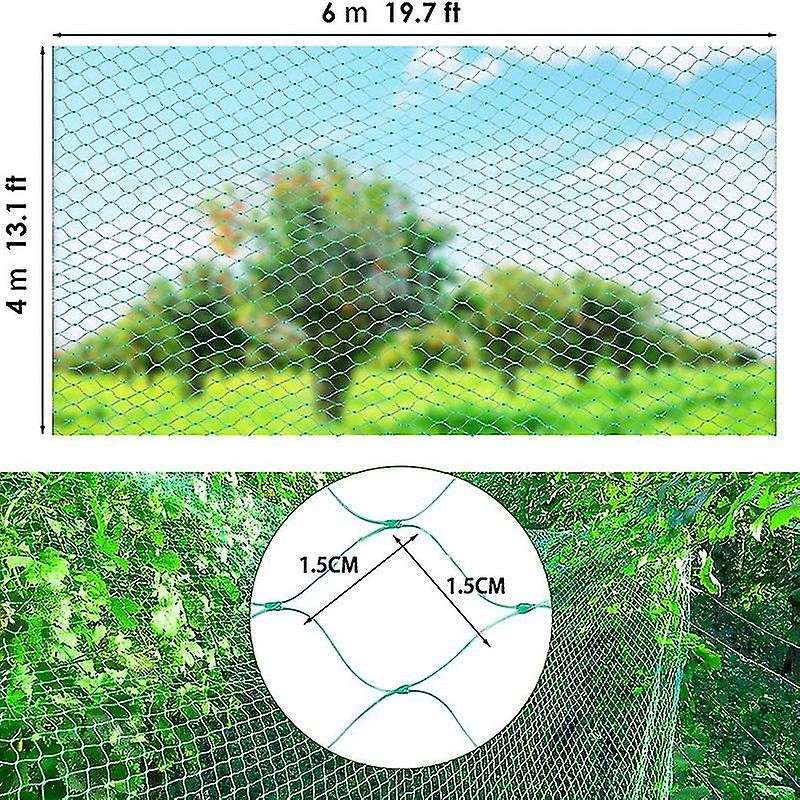 Bird Netting for Garden Protect Vegetable Plants and Fruit Trees