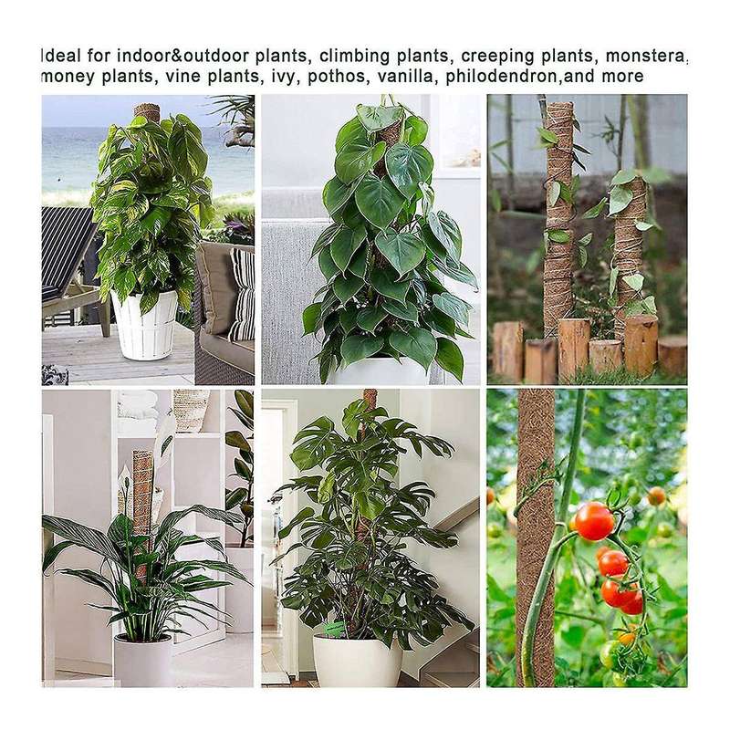 4 Pack Moss Poles for Indoor Plant Support,potted Plants Grow Upwards