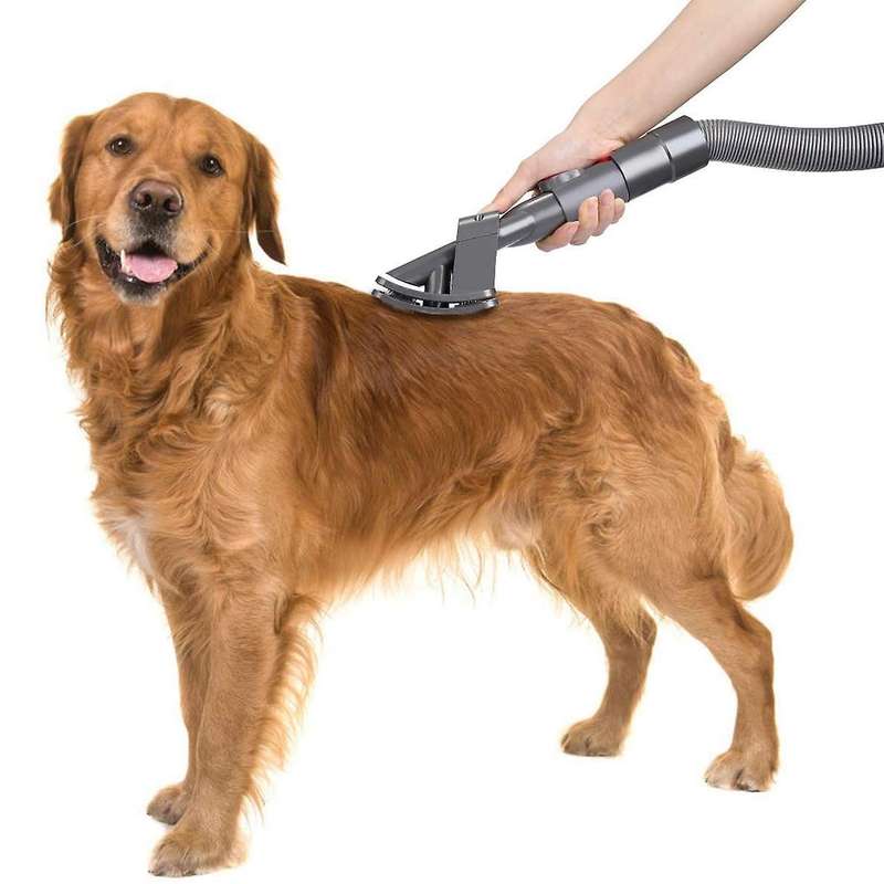 Grooming Tool and Flexible Extension Hose