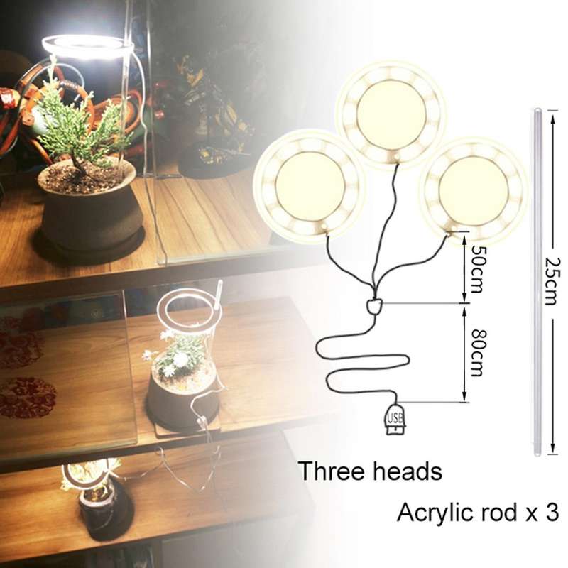 Ring Grow Light Dc5v Usb Phytolamp for Plants Led Full Spectrum E