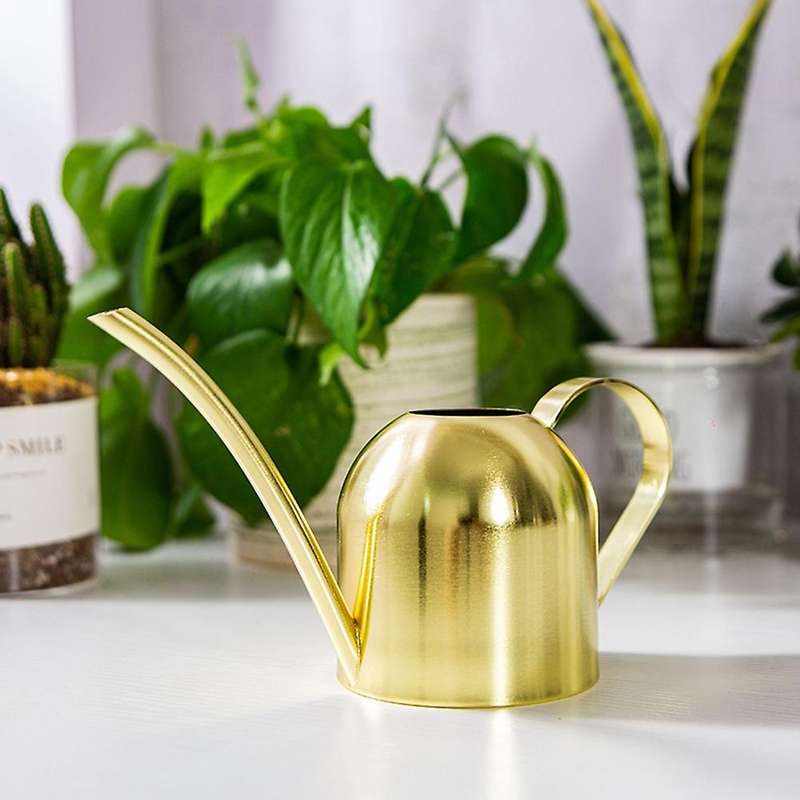 1000ml Long Mouth Water Can Stainless Steel Watering Pot Tool -a