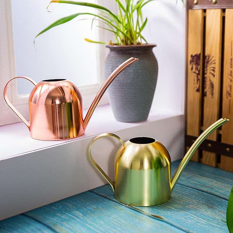 1000ml Long Mouth Water Can Stainless Steel Watering Pot Tool -a