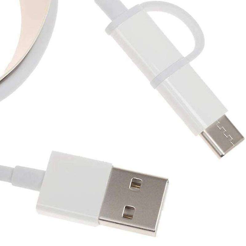 2-in-1 Usb Cable (mini Usb to Type C) 100cm Applicable to All Type