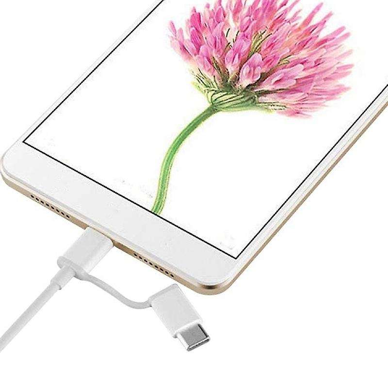 2-in-1 Usb Cable (mini Usb to Type C) 100cm Applicable to All Type