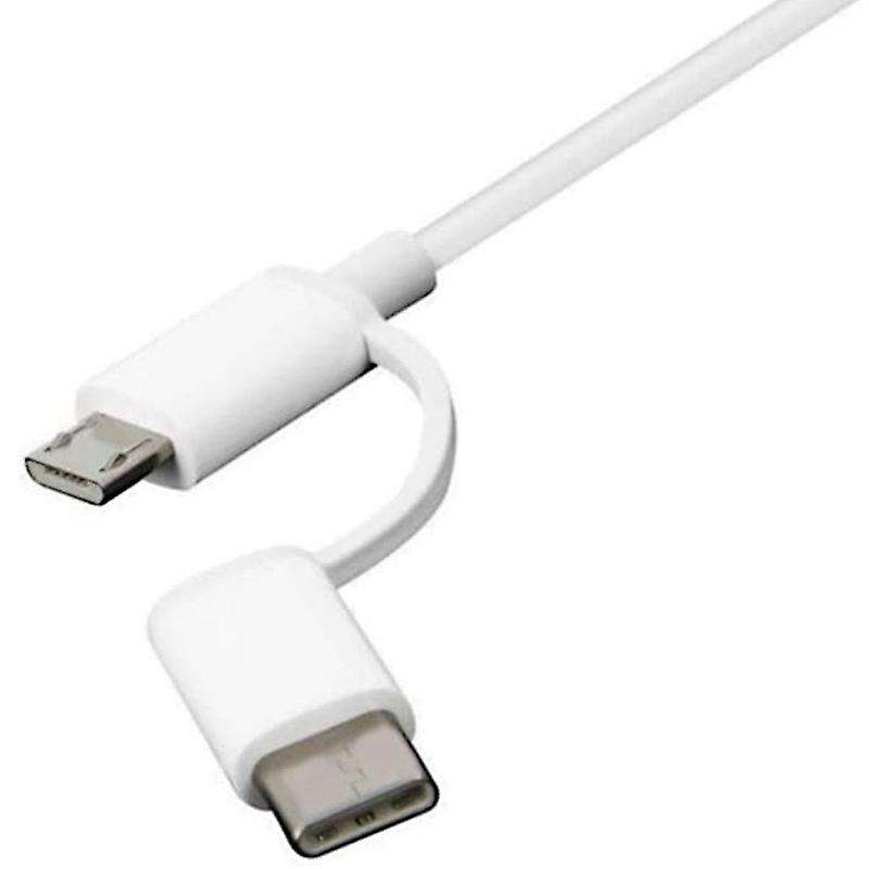 2-in-1 Usb Cable (mini Usb to Type C) 100cm Applicable to All Type