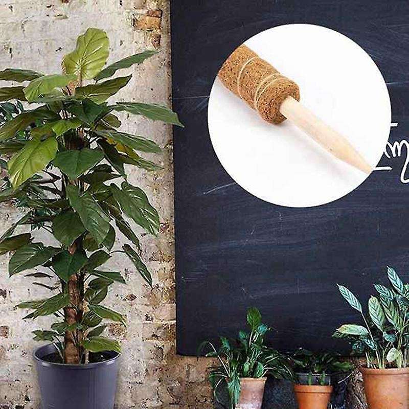 5pcs Plant Stakes 50 Cm Plant Support Stake