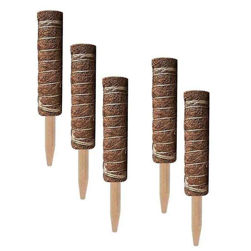 5pcs Plant Stakes 50 Cm Plant Support Stake