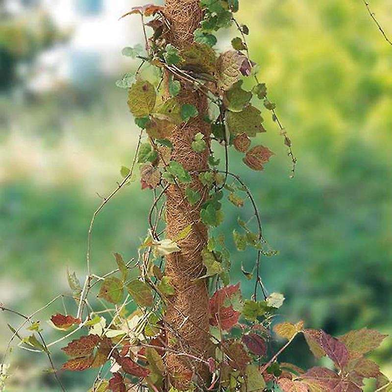 5pcs Plant Stakes 50 Cm Plant Support Stake