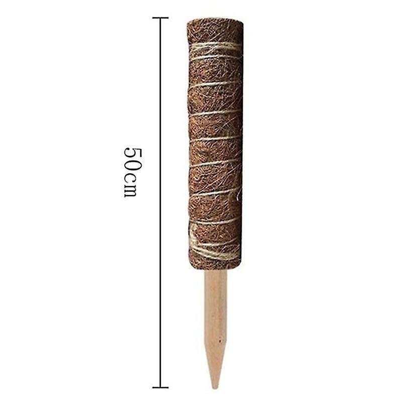 5pcs Plant Stakes 50 Cm Plant Support Stake