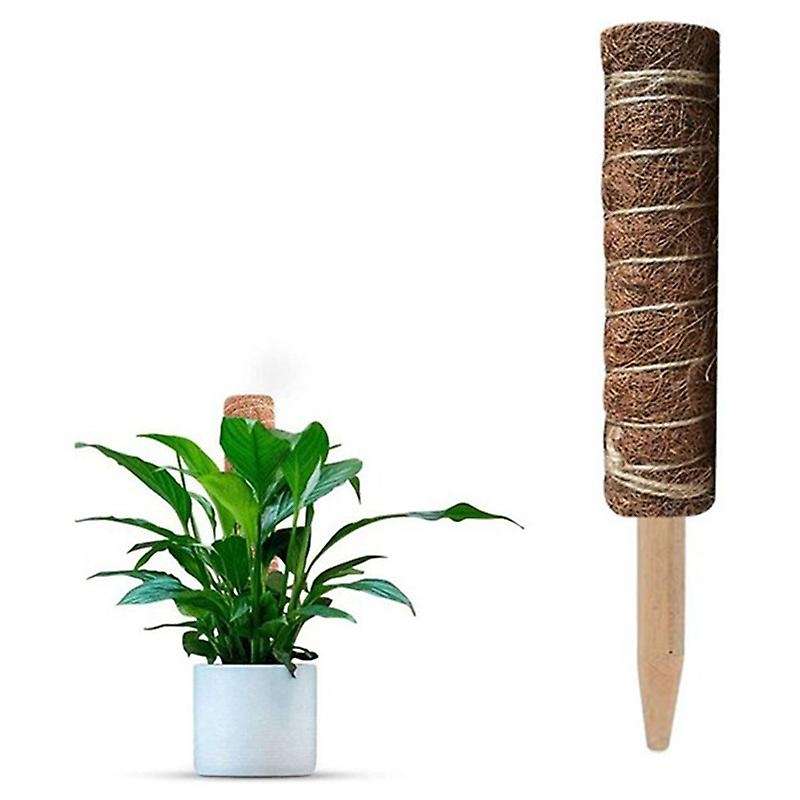 5pcs Plant Stakes 50 Cm Plant Support Stake