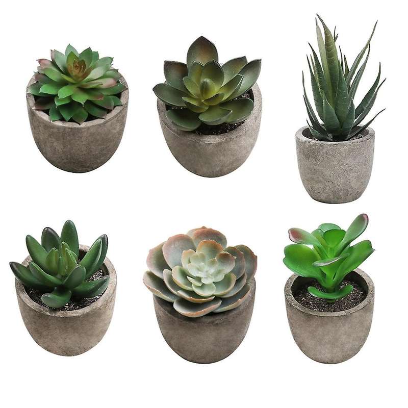 6pcs Small Indoor Faux Houseplants for Shelf Tabletop Desk Decoration