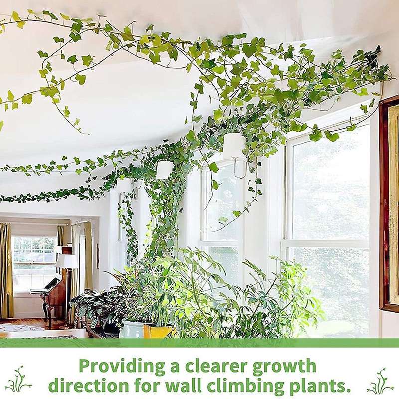 Plant Clips with Adhesive Pads for Climbing and Hanging