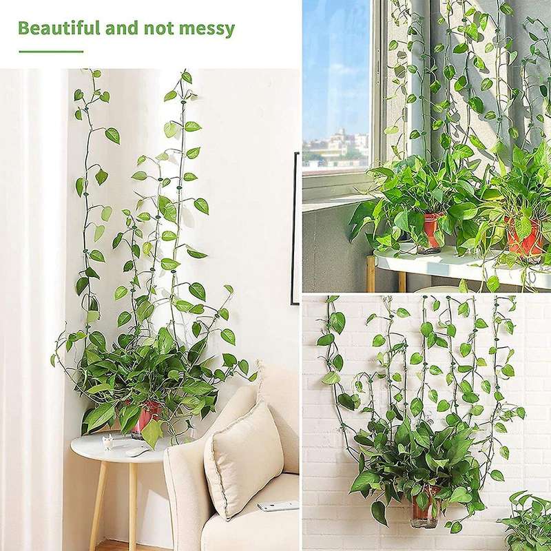 Plant Clips with Adhesive Pads for Climbing and Hanging