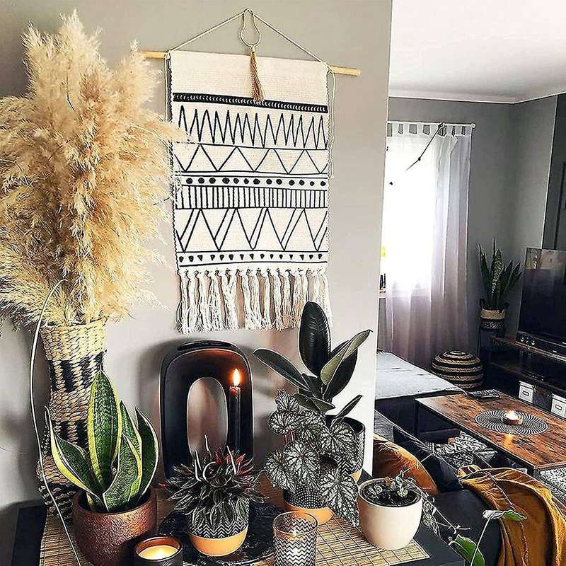 Coffee Table Decor Dried-pampas-grass Floral-50-stems Small-pompous