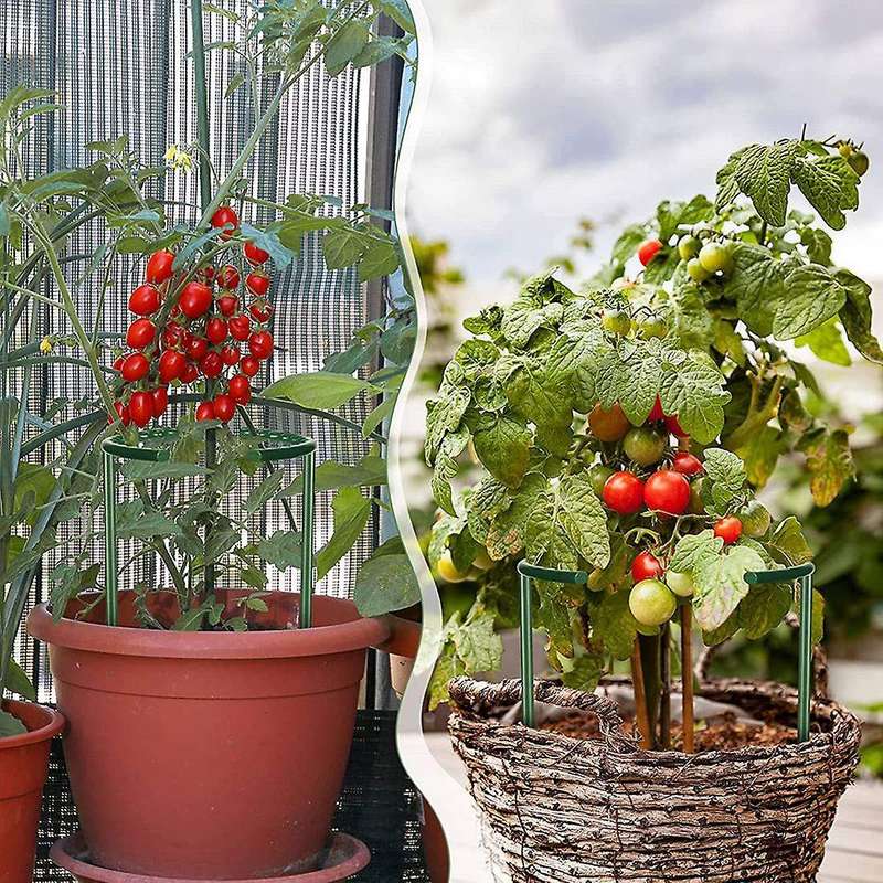 36pieces Plant Support Stake for Plant for Rose,tomato,hydrangea,etc