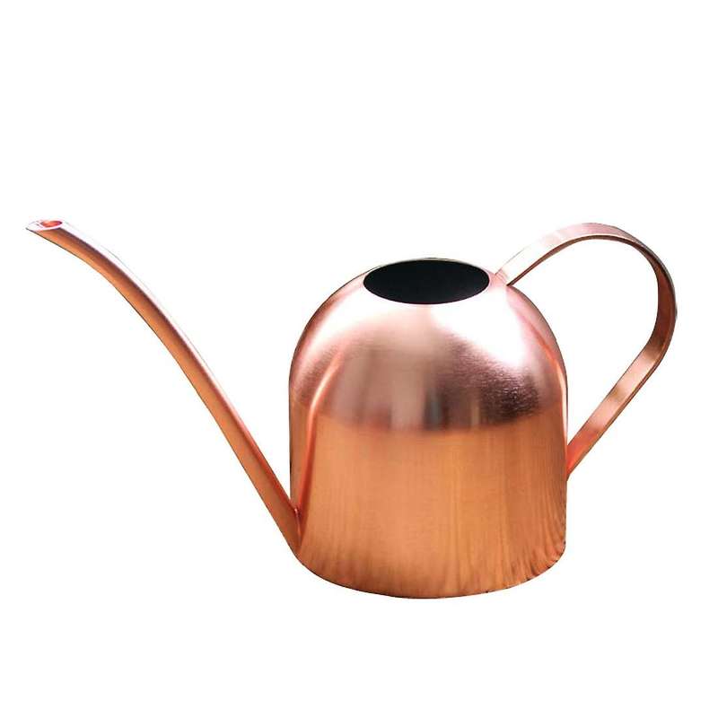1000ml Long Mouth Water Can Stainless Steel Watering Pot Tool -b