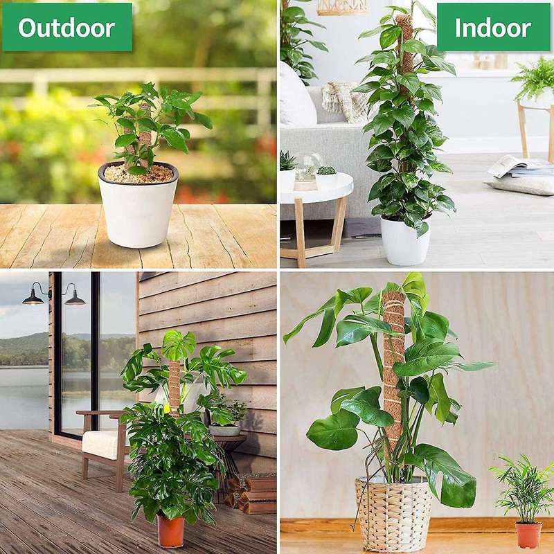 Moss Pole for Climbing Plants Plant Support Pole Coir Moss Stick