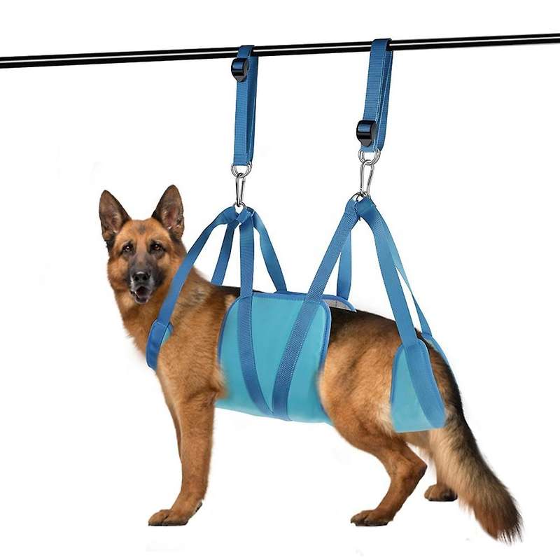 Pet Hammock for Pet Dog Restraint Bag with Grooming Tools, Blue L