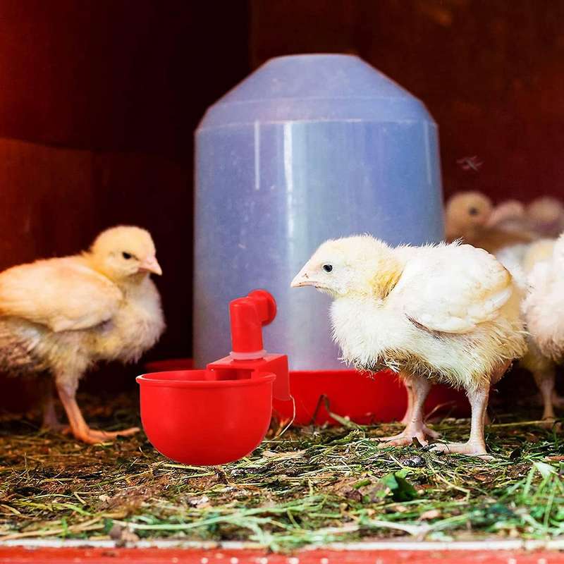 12pcs Chicken Watering Cup Automatic Filling Waterer Poultry Drinking