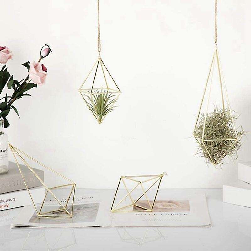 4 Packs Air Plant Hanging Holder Himmeli Decor Geometric Planter