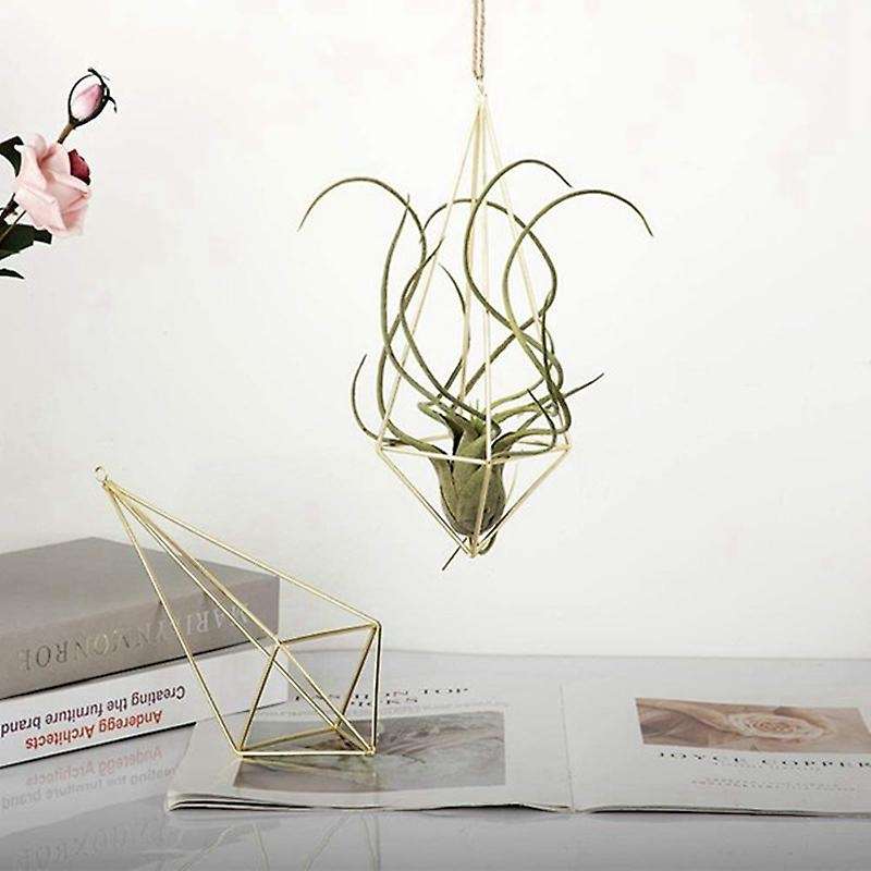 4 Packs Air Plant Hanging Holder Himmeli Decor Geometric Planter