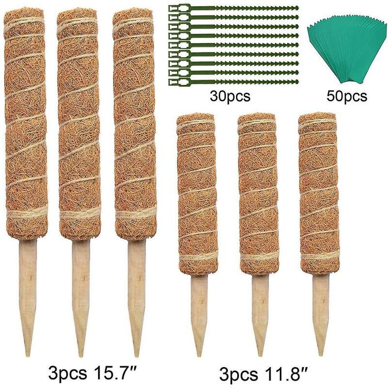 Moss Pole Plant Support Frame,coconut Moss Poles for Indoor Climbing