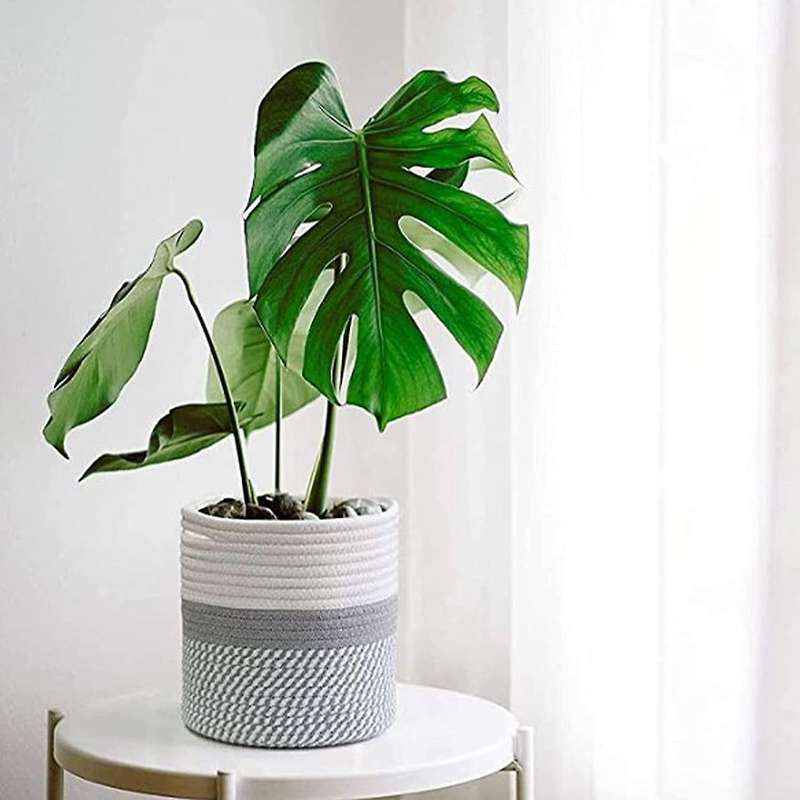 Large Woven Rope Plant Basket Storage Cotton Rope Plant Baskets -l