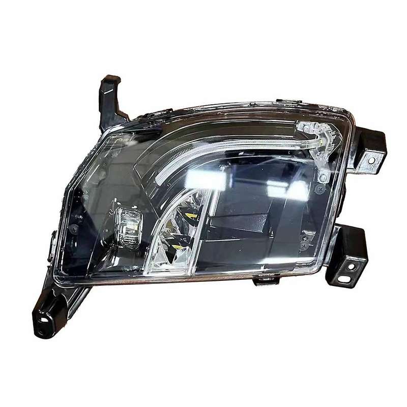 Automobile High Quality Asian and Eu Version Right Front Fog Lamp 6005916-00-e 600591600e for Model