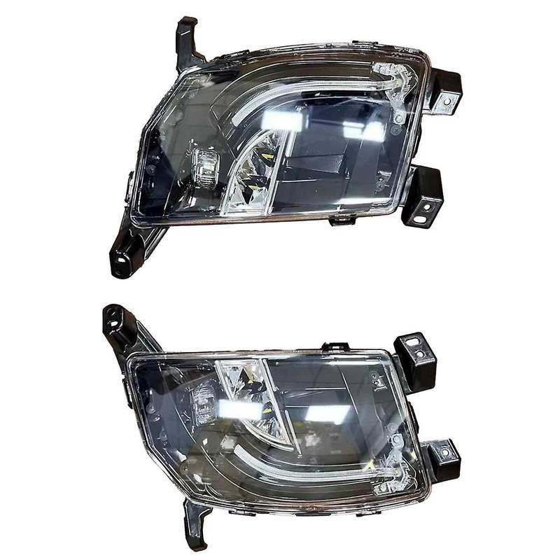 Automobile High Quality Asian and Eu Version Left Right Front Fog Lamp 6005916-00-e 600591600e for M