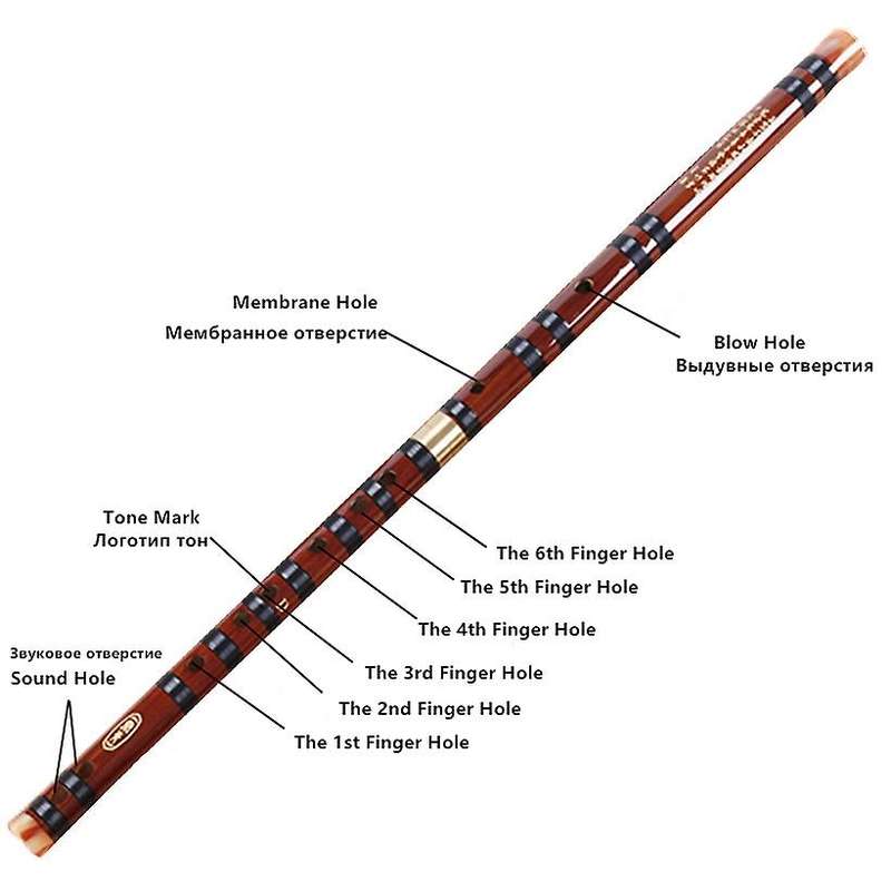 Bamboo Flute Musical Instruments D Key Chinese Dizi Transversal