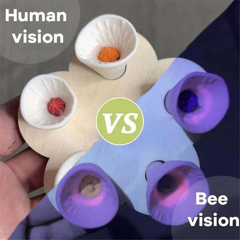 Bee Insect Drinking Cup, Bee Cups, Thirsty Pollinators Need A Drink, Bees Need Safe Places to Drink