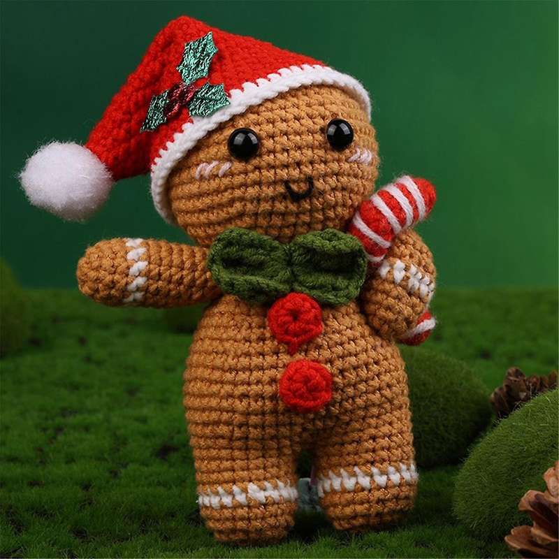 Beginner Crochet Kit Succulent Christmas Series Crochet Kits with Instruction Tutorials Video Tutori