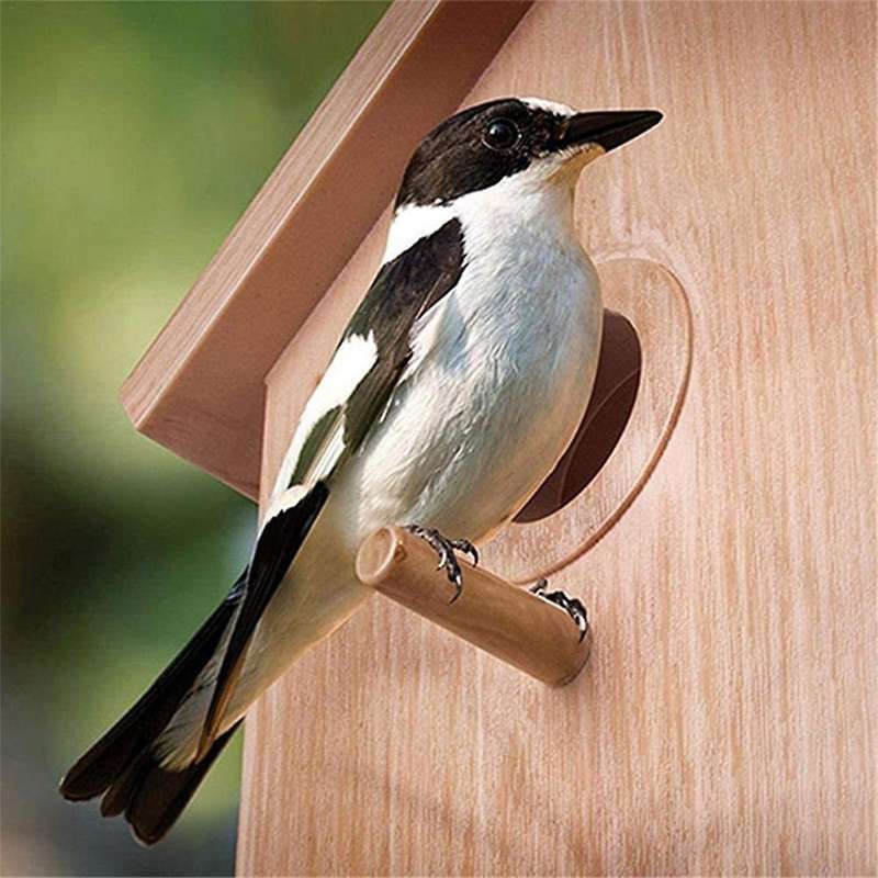 Bird House Exterior Window Nest Box Bird House with Strong Suction Cup