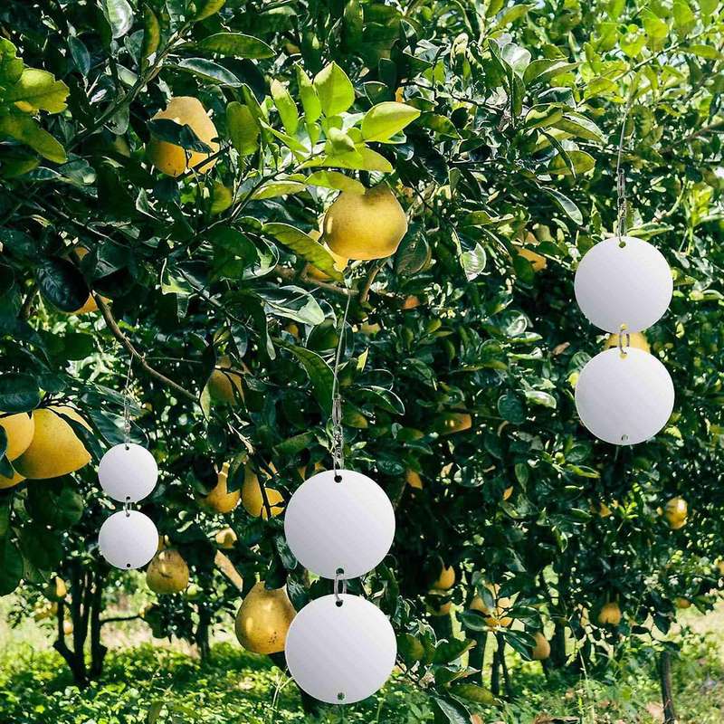 Bird Repellent Discs Repellent Double Sided Reflective Discs for Preventing Birds Approaching