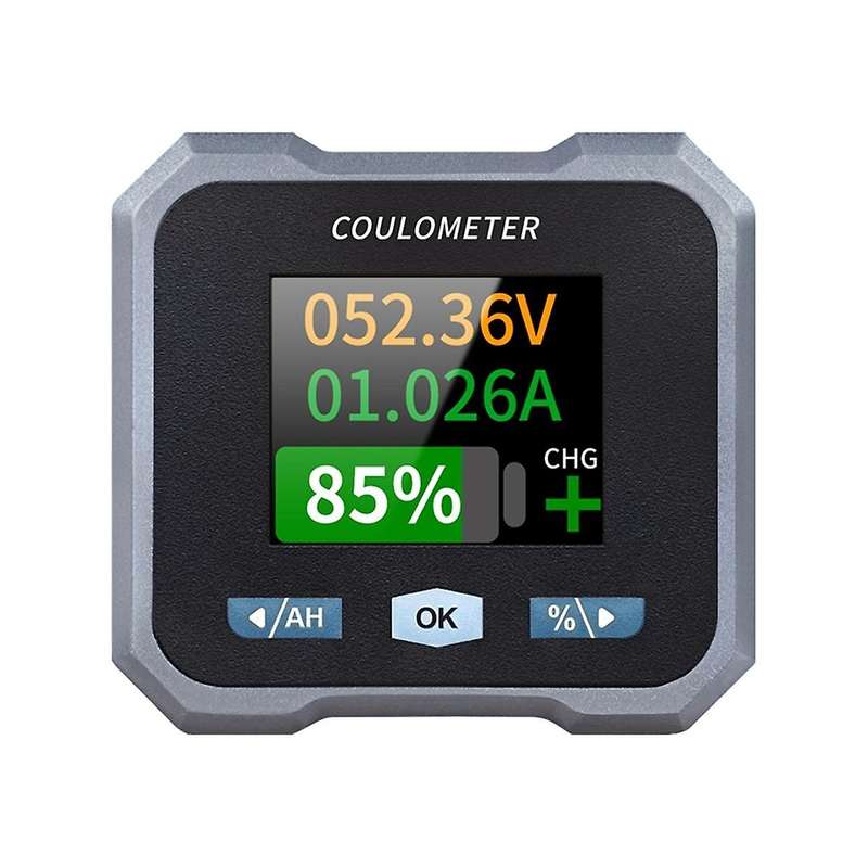 BL110F Coulometer Battery Meter DC10-100V 0-100A Waterproof Battery Meter and Voltmeter for Electri