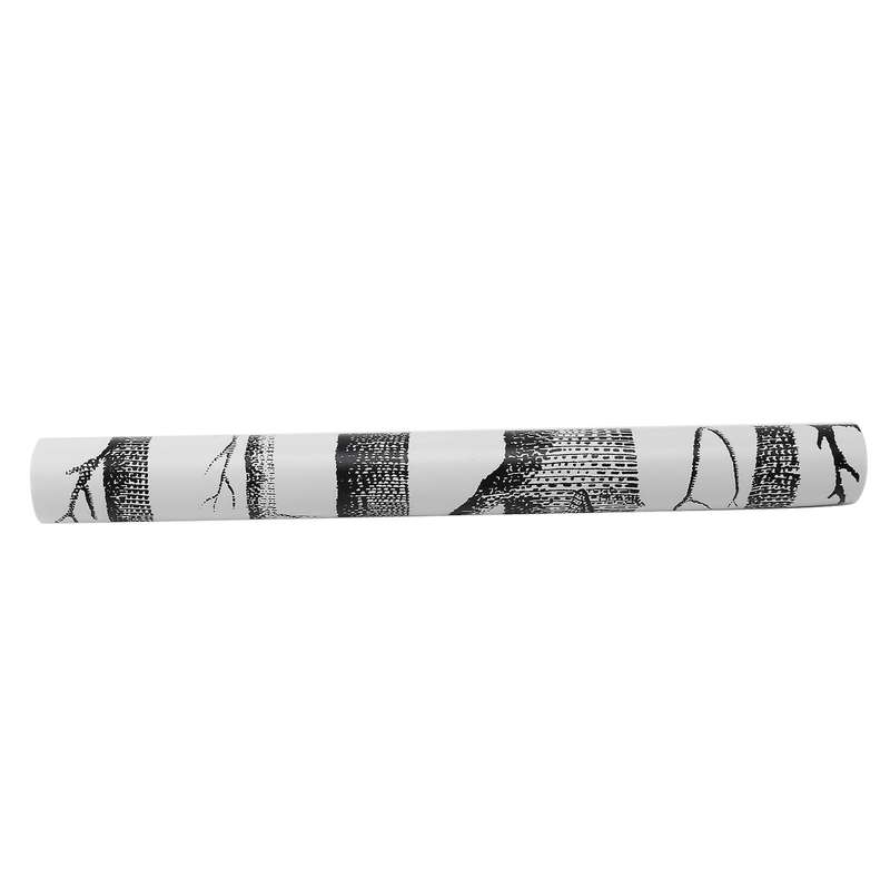 Black White Birch Tree Wallpaper Compatible Bedroom Living Room Wall Paper