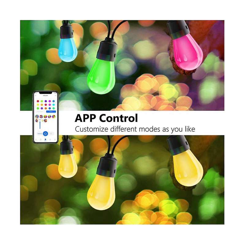 Bluetooth App Multicolor Ball Bulb Light String Waterproof Horse String Lamp Garden Decor Ambient L