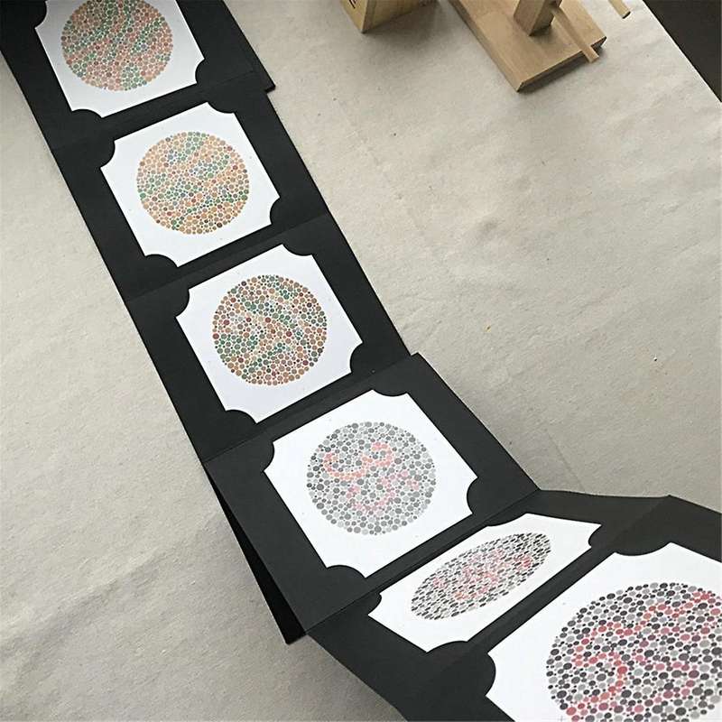 Book 38 Plates Optometry Color Blindness Color Deficiency Test Book ISHI-38-2