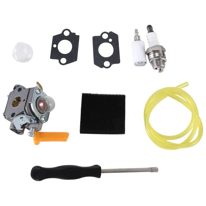 C1u-h60 Carburetor Assembly C1u-h60 308054003 3074504 985624001 26cc 30cc Carburetor