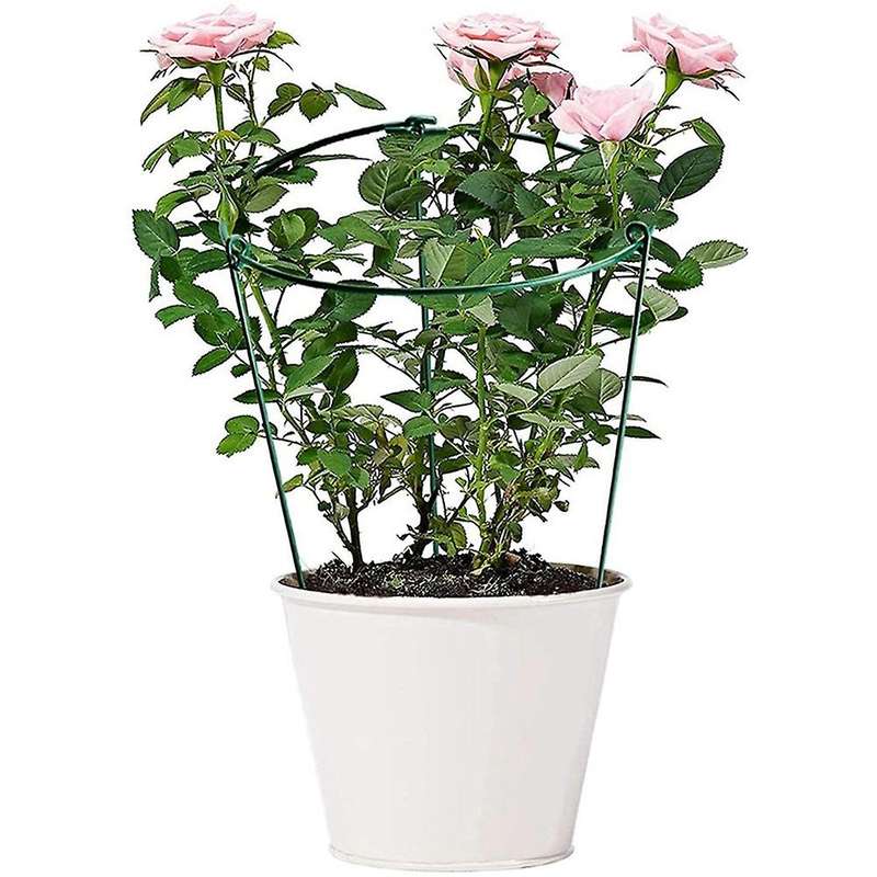 Cage Rings Garden Plant Support Brace, Pack Of 10 Plant Stakes Rings, Strong Garden Supports