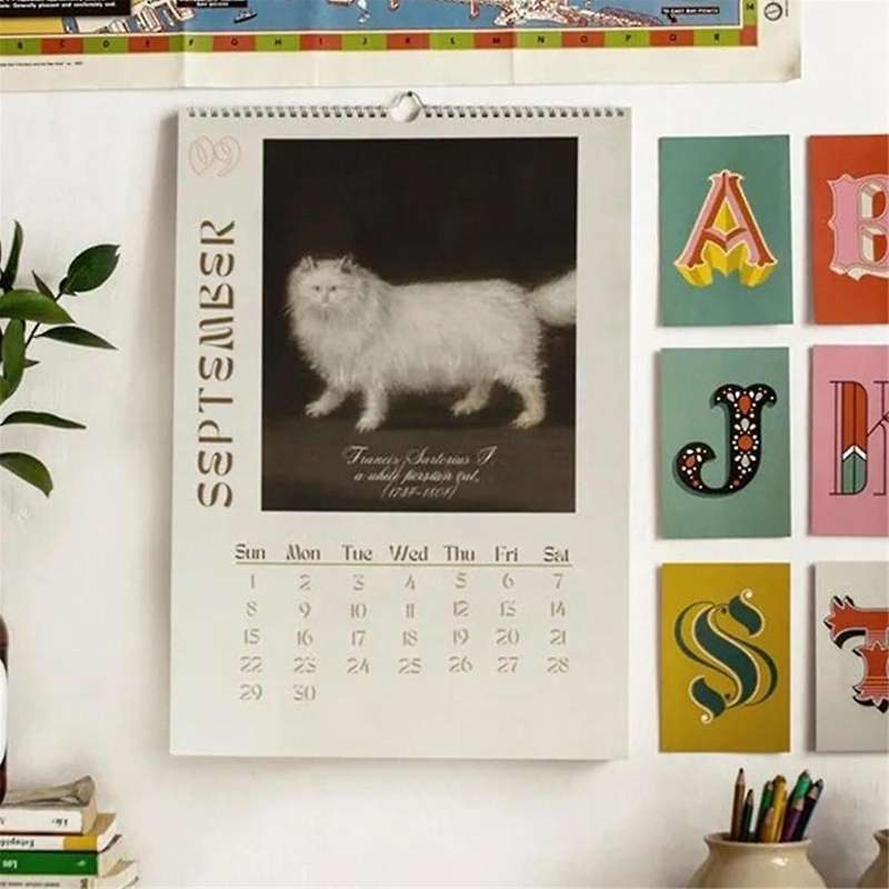 Calendat 2024 Ugly Cats Calendar New Year Gift Wall Hanging Calendar Home Decor for Planning Calenda