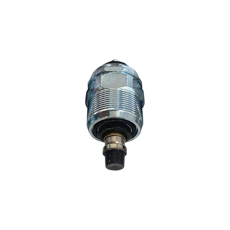 Car 12V Pump Flameout Solenoid Valve 9900015 for Engines
