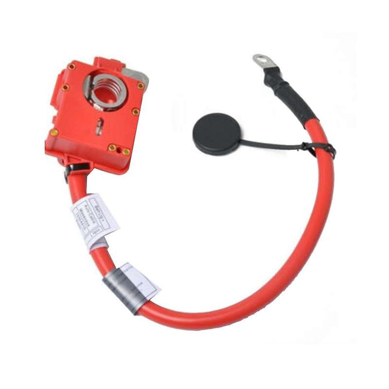 Car Battery Cable Positive Protection Wire 61128795489 for X7 G07 2019-2022 Auto Parts Battery Lead