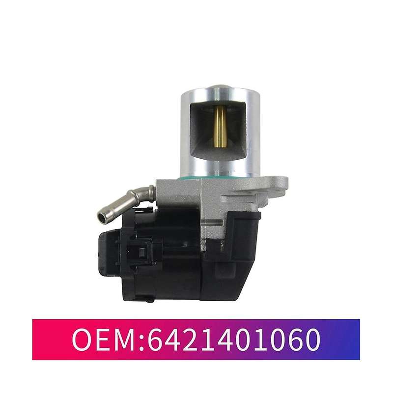 Car Egr Valve 6421401060 for R Class S Class 3.0 710095d Egr130n A6421401060