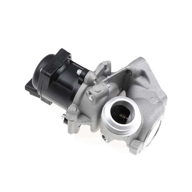 Car Egr Valve 9660276280 1618. 1439414 161859 for 206 207 307 407 1007 3008 5008 Expert Tepee 1.6
